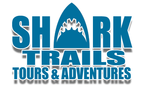 Shark Trails