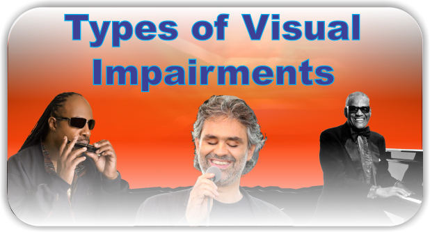 Types of Visual Impairments